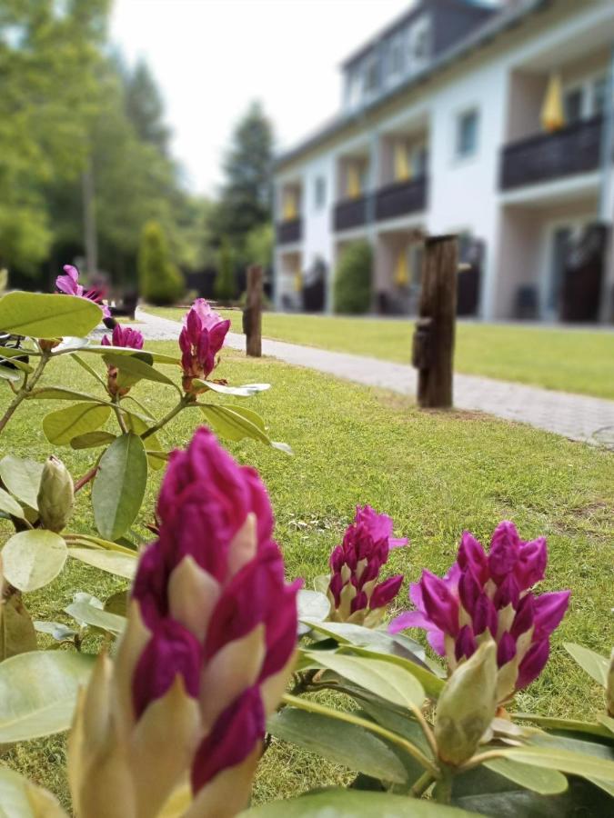 Gaestehaus Falkenhof Westensee Εξωτερικό φωτογραφία